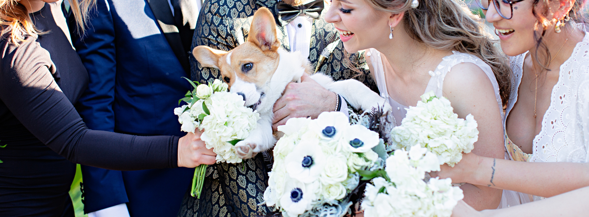 Bridal party and bride and groom enjoying their wedding day with their dog, they are having fun and laughing captured by wedding photographer Carlsbad Photo