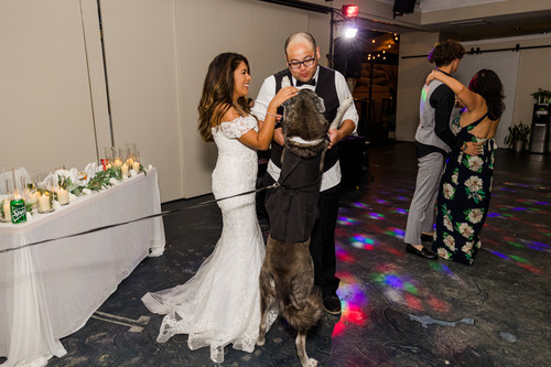 Voted Best Carlsbad Wedding Photographer Carlsbad Photo
