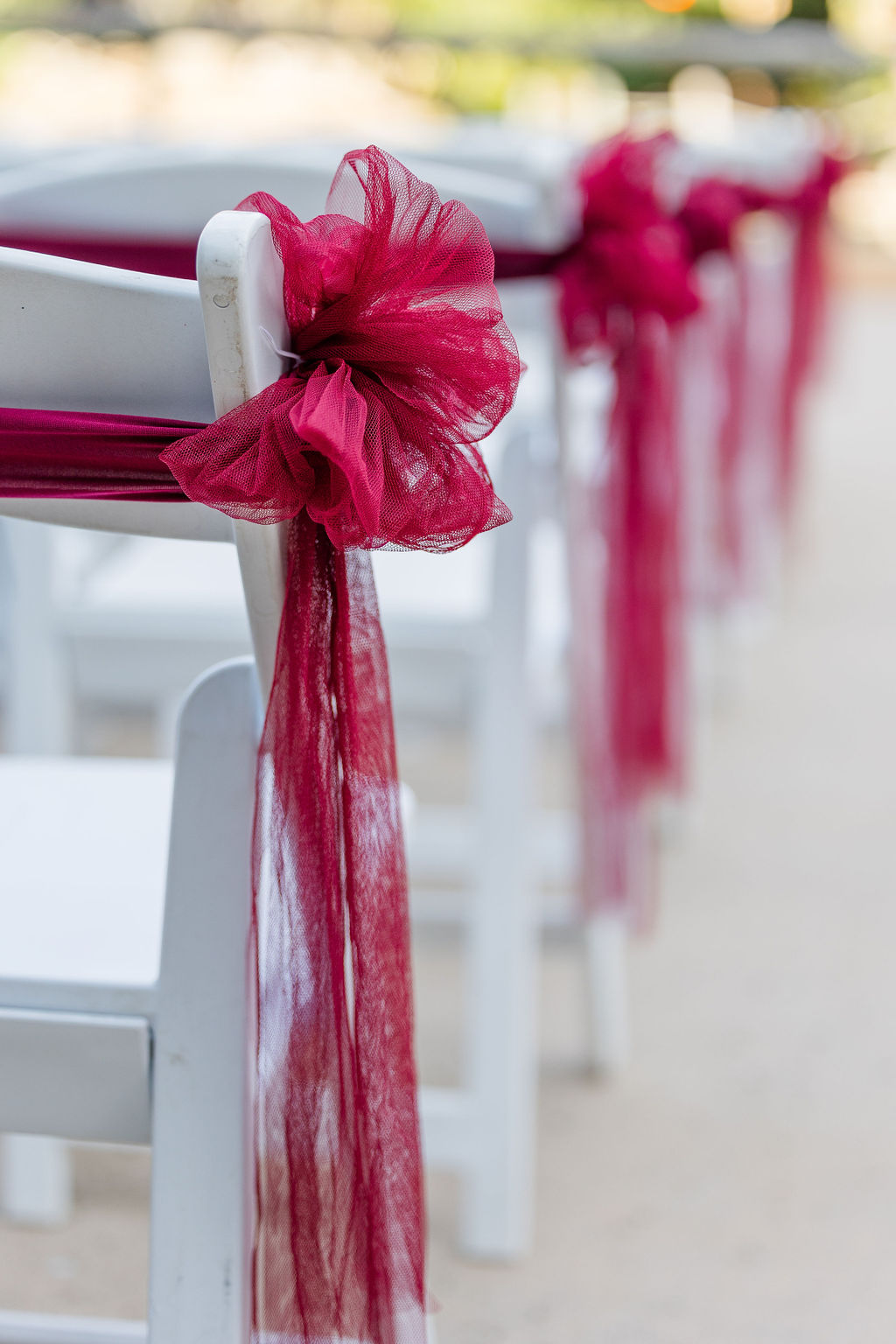 San Diego Zoo Safari Park Wedding Photographer