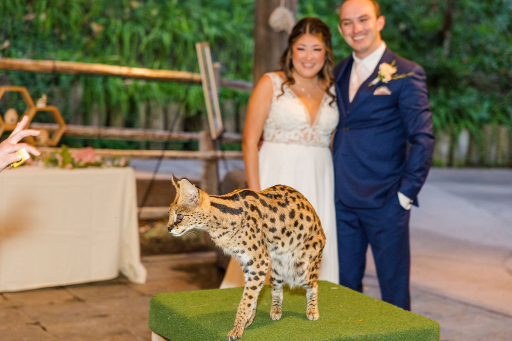 San Diego Zoo Safari Park Wedding Photographer