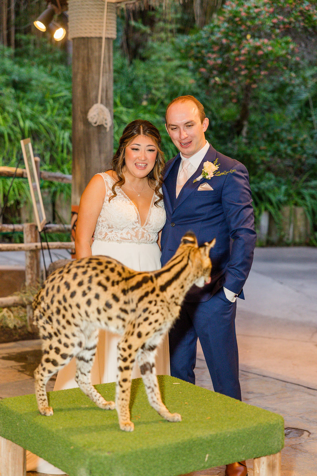 San Diego Zoo Safari Park Wedding Photographer