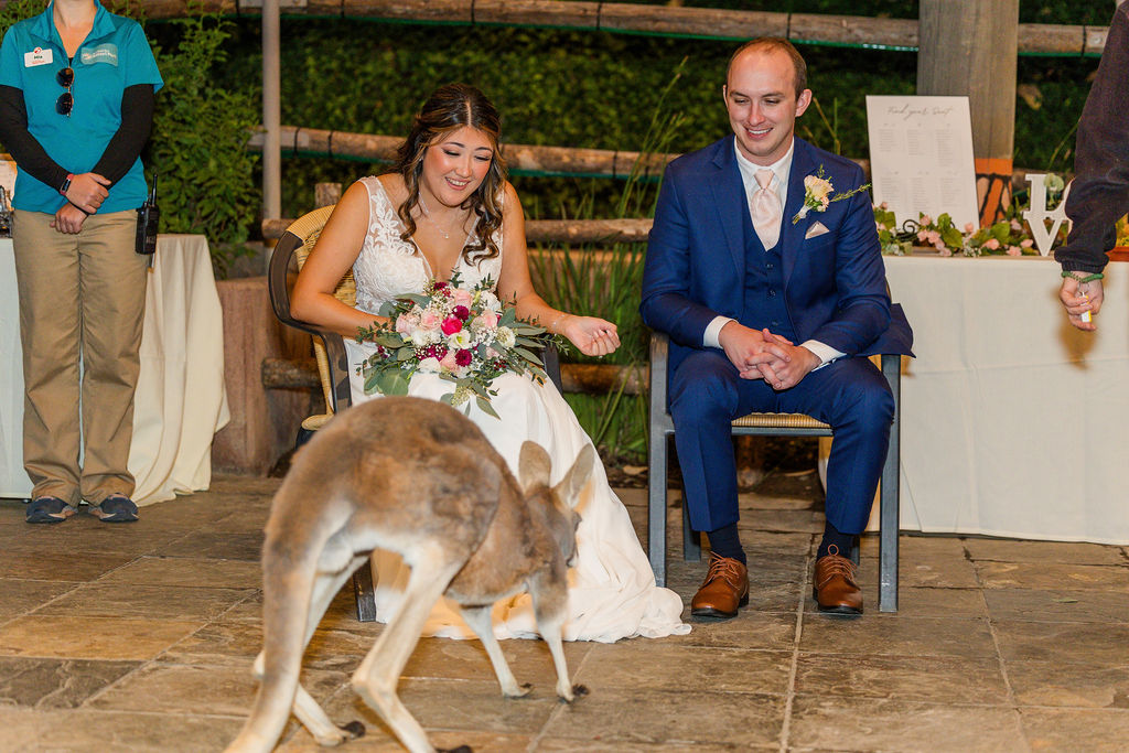 San Diego Zoo Safari Park Wedding Photographer