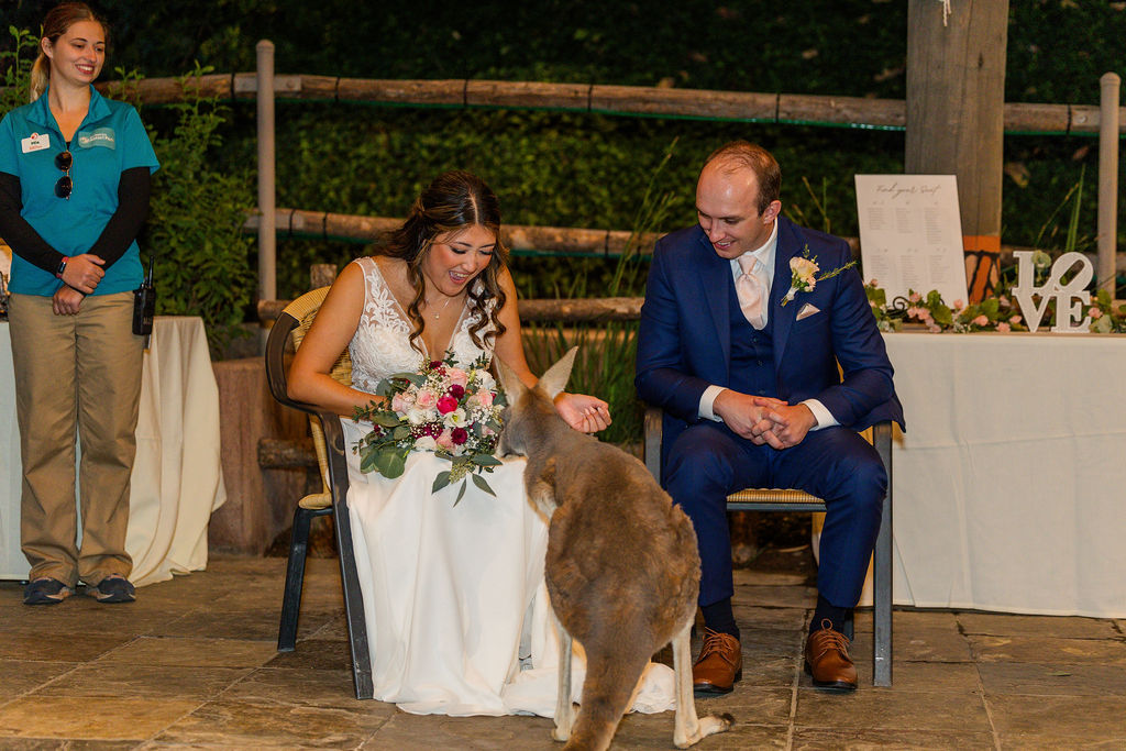 San Diego Zoo Safari Park Wedding Photographer