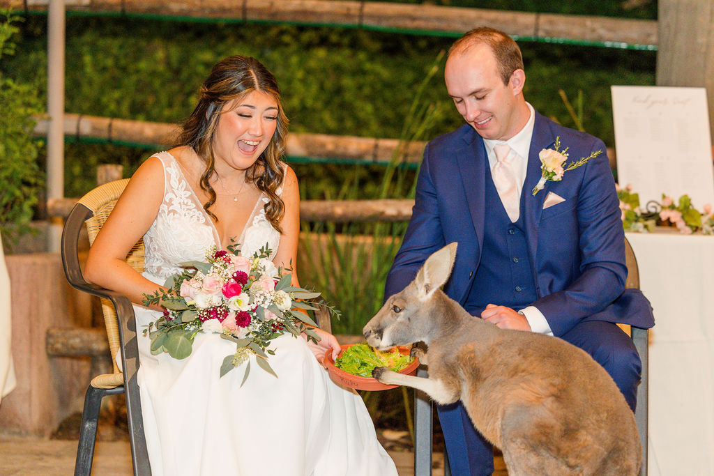 San Diego Zoo Safari Park Wedding Photographer