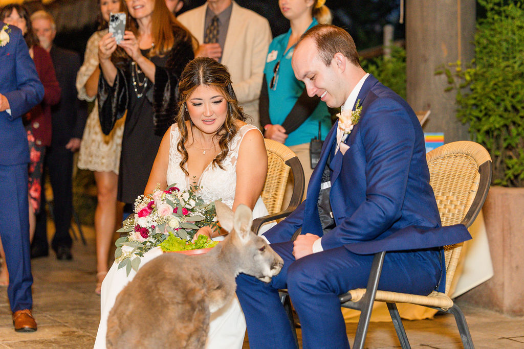 San Diego Zoo Safari Park Wedding Photographer