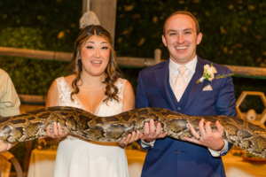 San Diego Zoo Safari Park Wedding Photographer