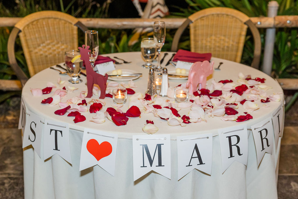 San Diego Zoo Safari Park Wedding Photographer