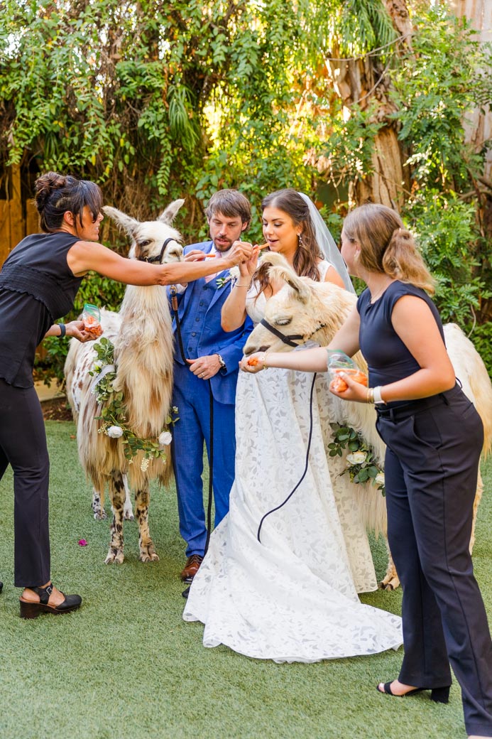 Twin Oaks Hidden Gardens Wedding Photographer