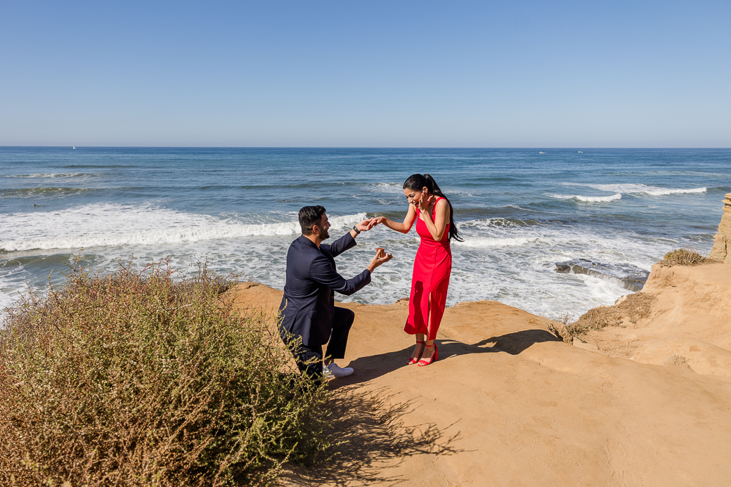 Surprise Proposal Sunset Cliffs