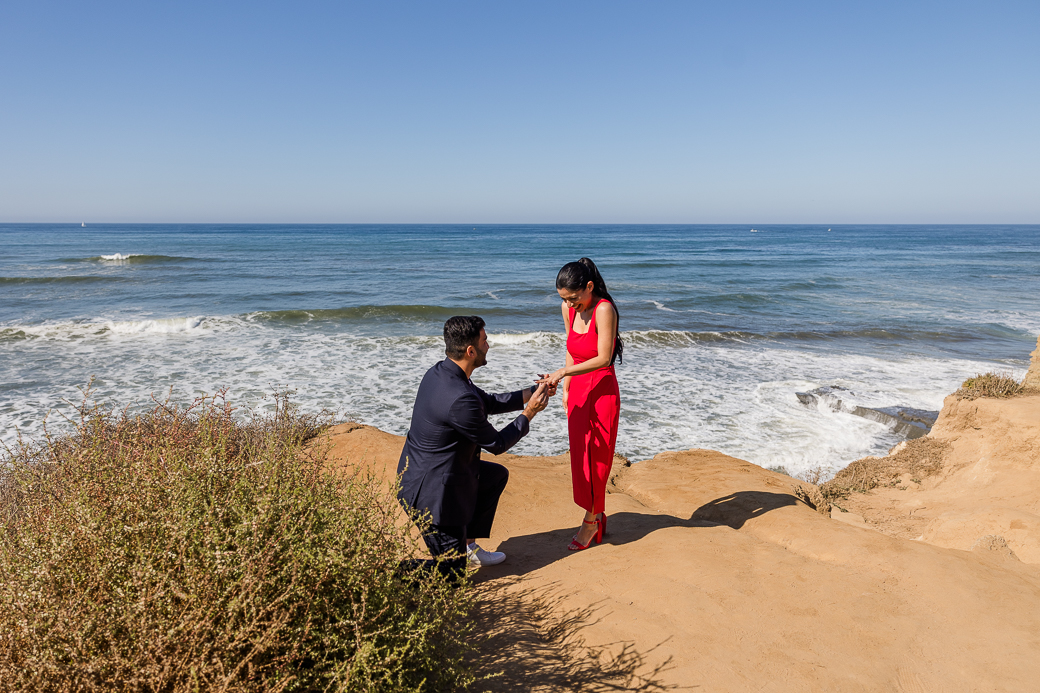 Surprise Proposal Sunset Cliffs