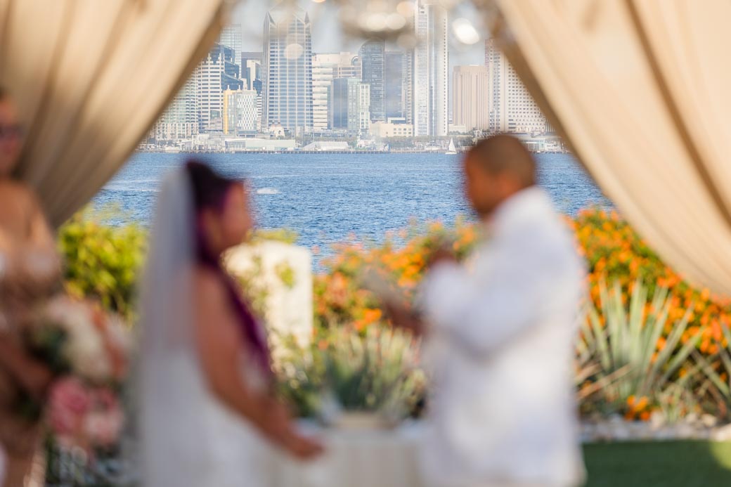 Tom Hams Lighthouse wedding photographer